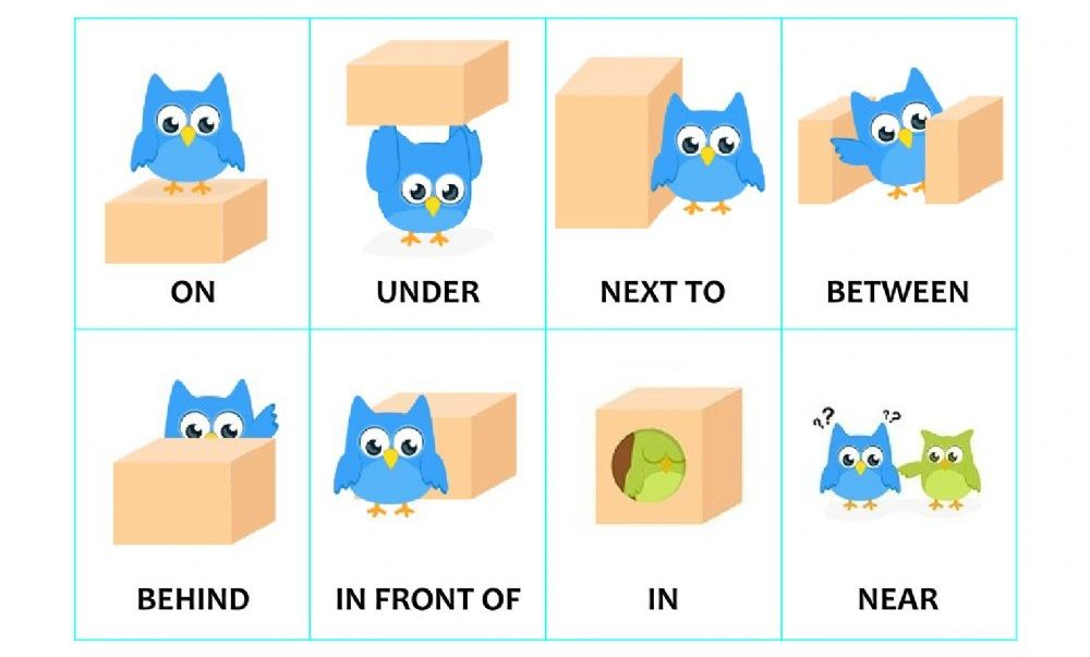 Giới từ nối danh từ hoặc đại từ với phần còn lại của câu
