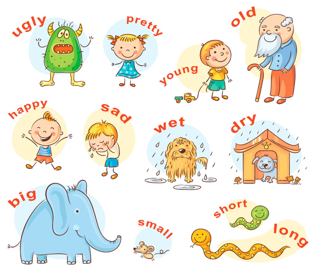 Tính từ miêu tả đặc điểm, tính chất của người, vật hoặc hiện tượng