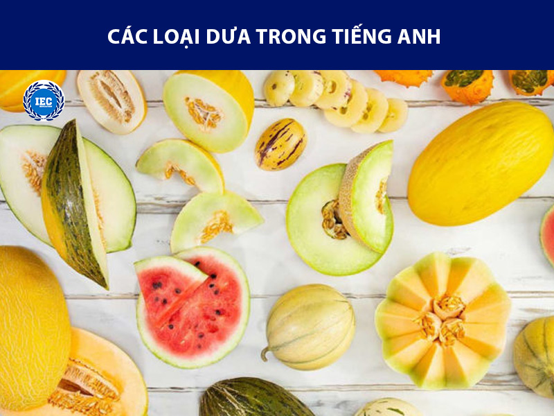 Các loại dưa trong tiếng Anh