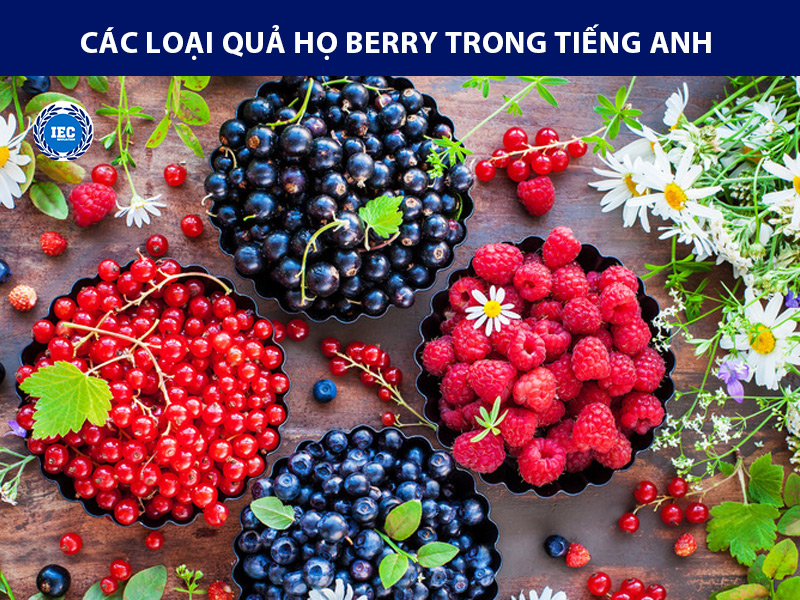 Các loại quả họ berry trong tiếng anh 