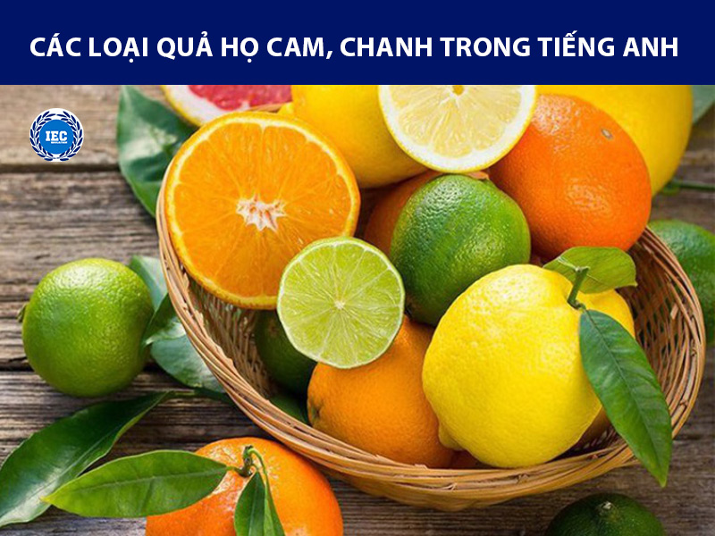 các loại quả họ cam, chanh trong tiếng anh