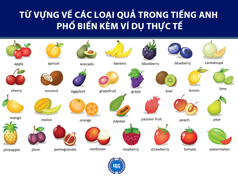 các loại quả trong tiếng anh