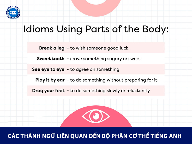 thành ngữ liên quan đến các bộ phân cơ thể tiếng anh