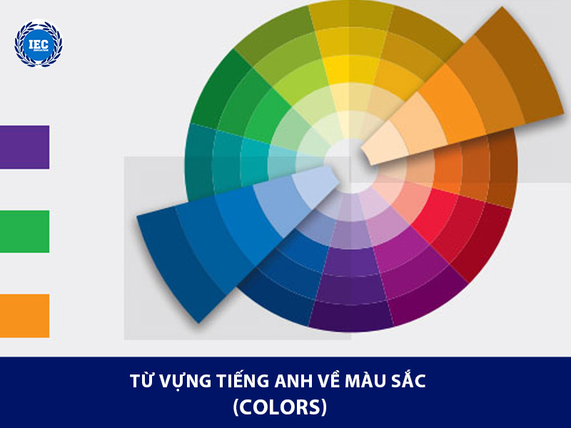Từ Vựng Tiếng Anh B1 Về Màu Sắc