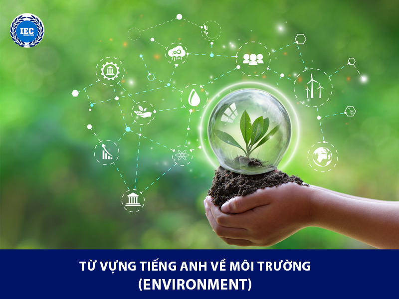 Từ vựng tiếng Anh về môi trường