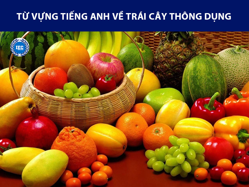 từ vựng tiếng anh về các loại trái cây trong tiếng anh 