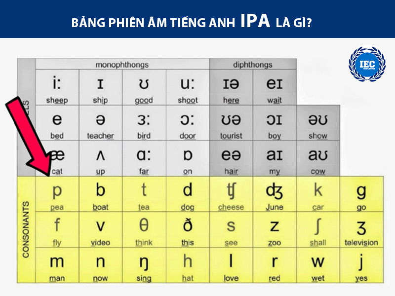 bang phien am tieng anh ipa la gi