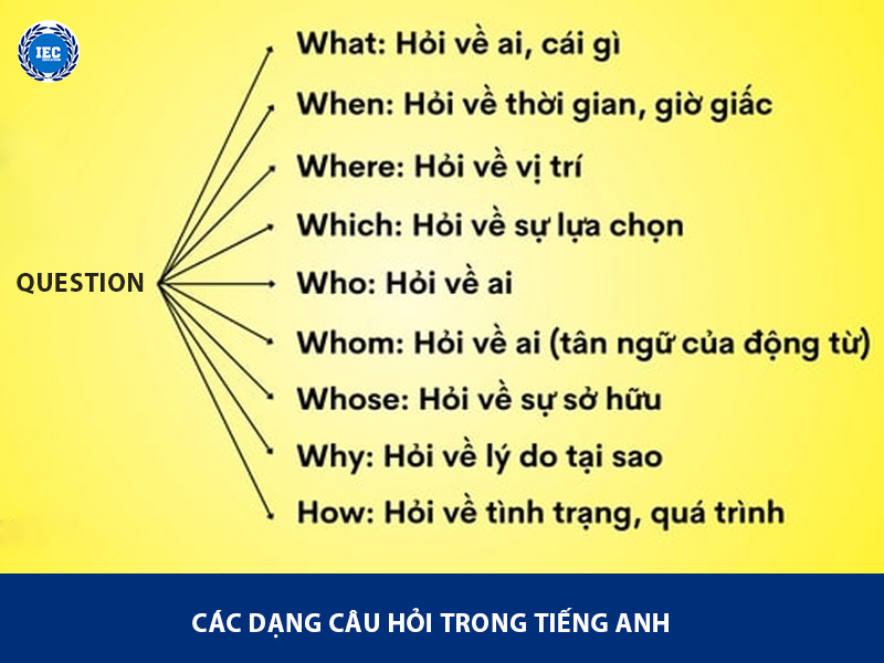 các dạng câu hỏi trong tiếng anh