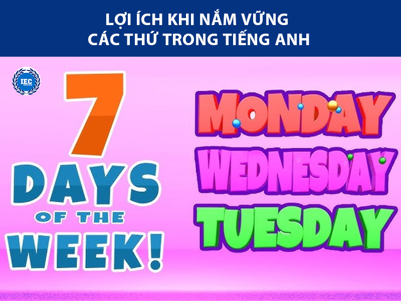 cac thu trong tieng anh chinh xac nhat