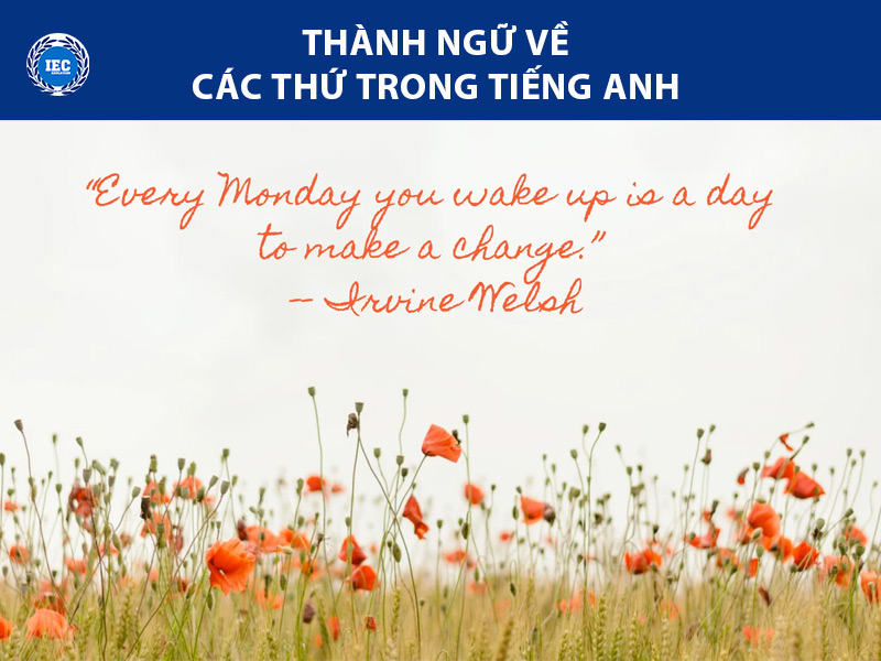 cau thanh ngu ve cac thu trong tieng anh