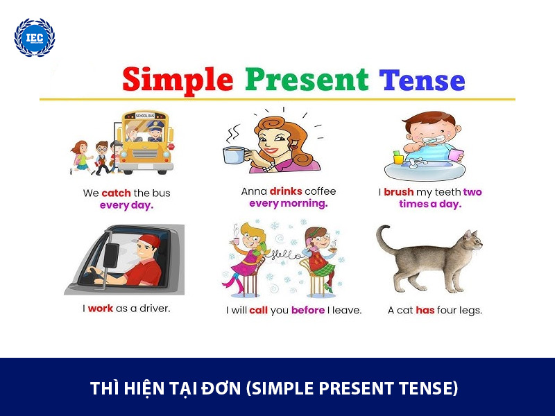 Thì Hiện Tại Đơn (Simple Present Tense)
