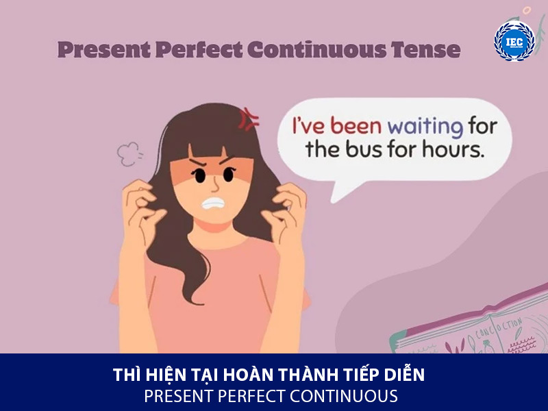Thì Hiện Tại Hoàn Thành Tiếp Diễn – Present Perfect Continuous