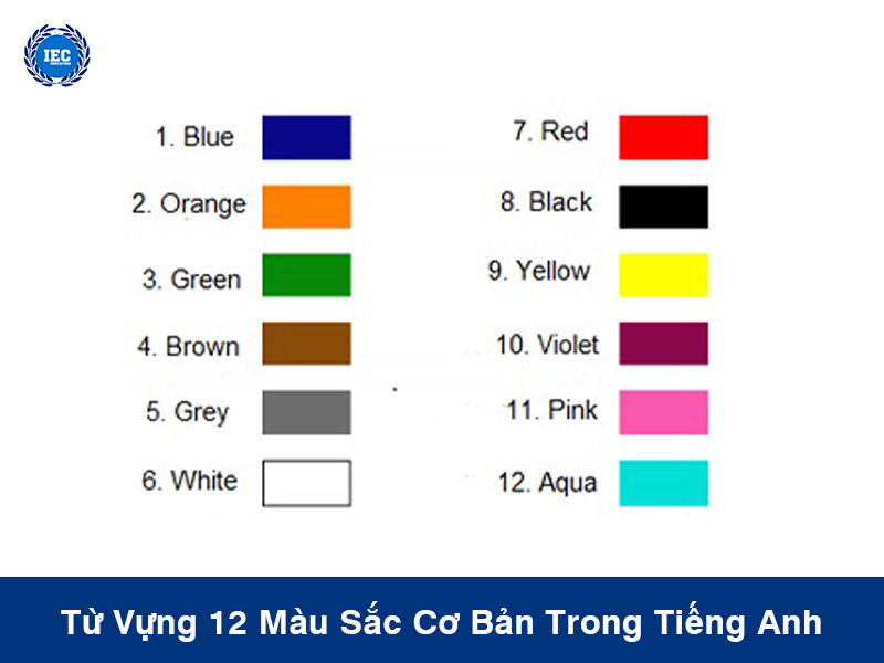 tu vung 12 mau sac co ban trong tieng anh