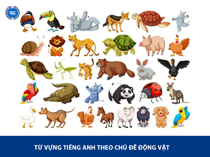 Từ Vựng Theo Chủ Đề Động Vật