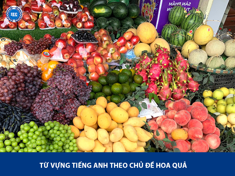 Từ Vựng Tiếng Anh Chủ Đề Hoa Quả Mới Nhất