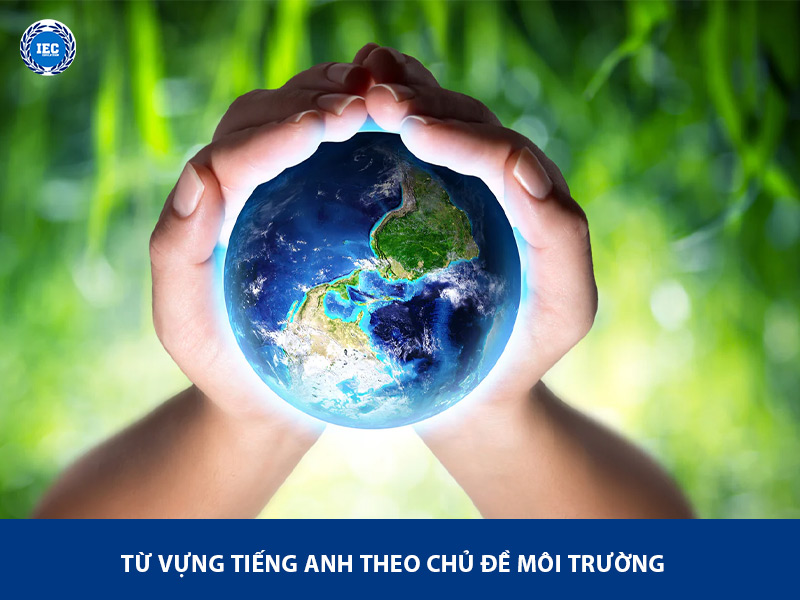 Từ Vựng Về Chủ Đề Môi Trường