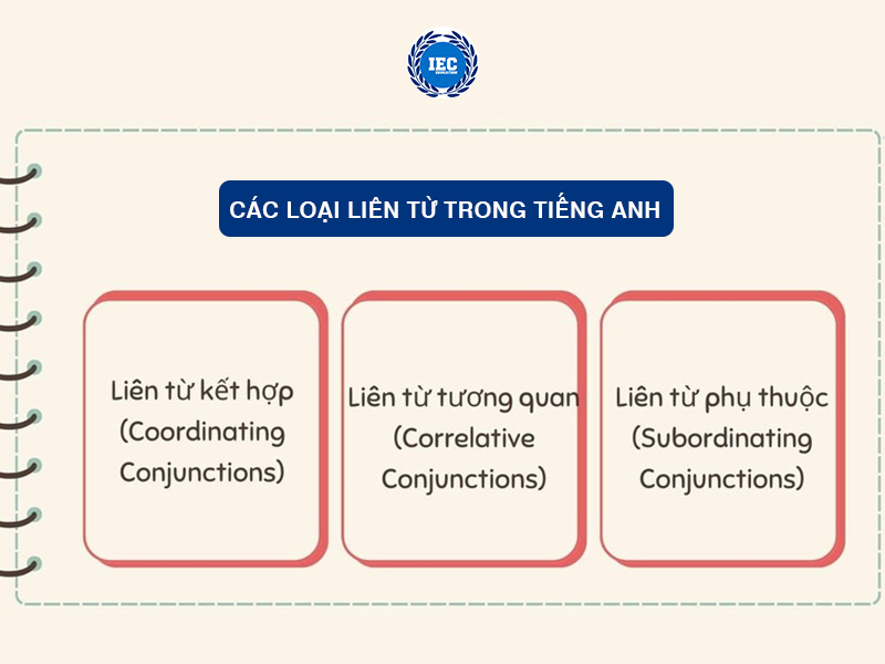 Các Loại Liên Từ Trong Tiếng Anh Phổ Biến Nhất
