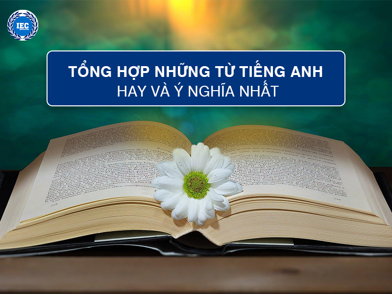 Khám Phá Những Từ Tiếng Anh Hay