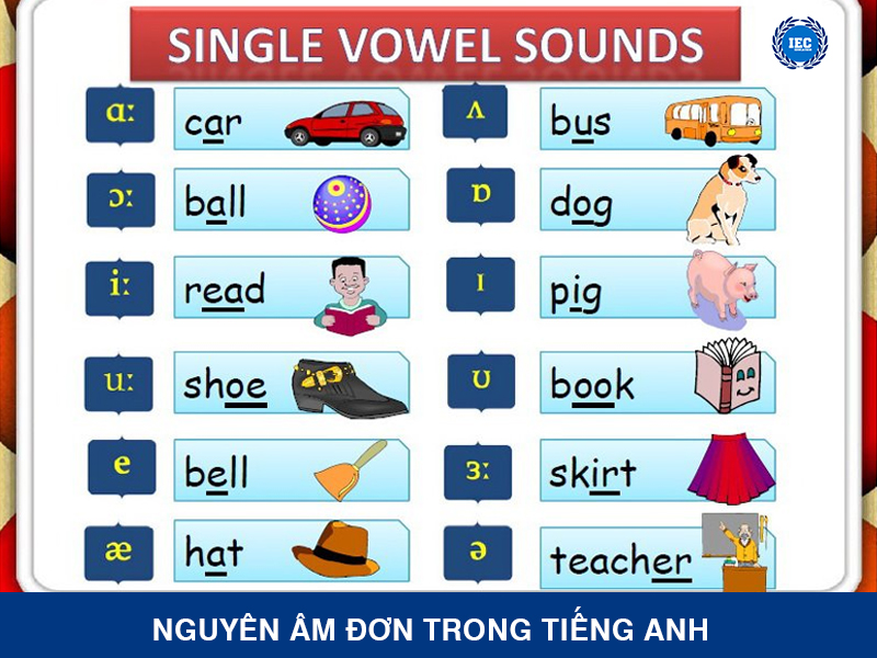 nguyen am don trong tieng anh