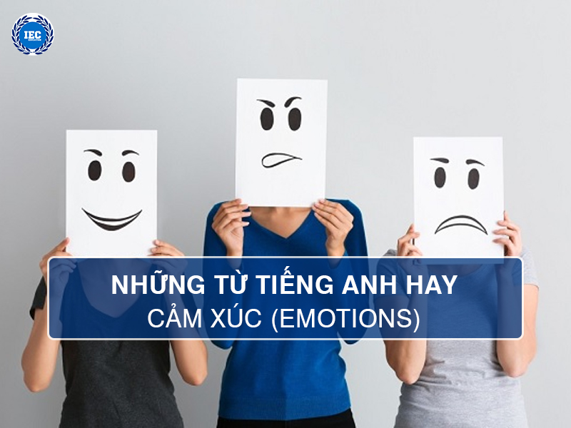 Tổng Hợp Từ Tiếng Anh Hay Về Cảm Xúc (Emotions)