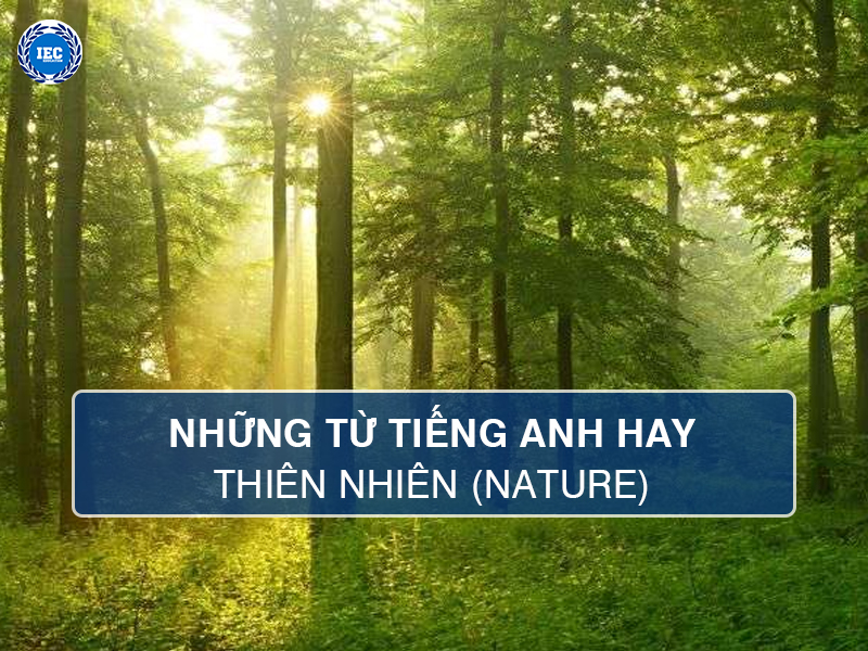Danh Sách Từ Tiếng Anh Hay Về Thiên Nhiên (Nature)
