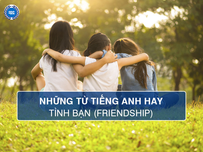 Những Từ Tiếng Anh Hay Về Tình Bạn (Friendship)