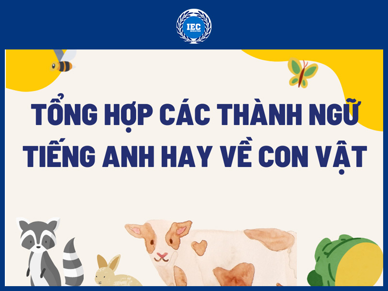 Thành ngữ Về Các Con Vật Trong Tiếng Anh
