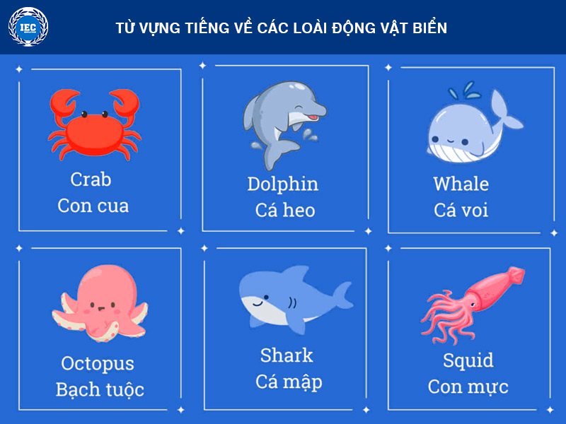 từ vựng tiếng anh về các loài động vật biển