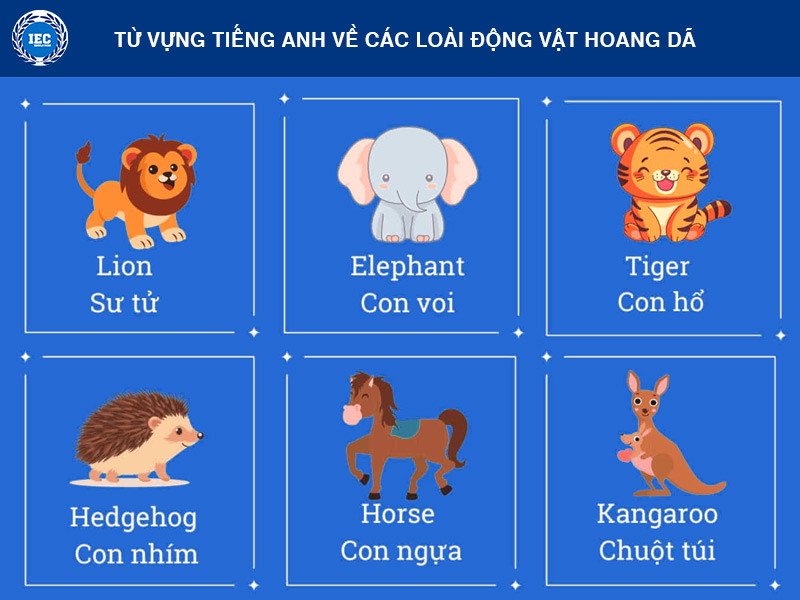 từ vựng tiếng anh về động vật hoang dã