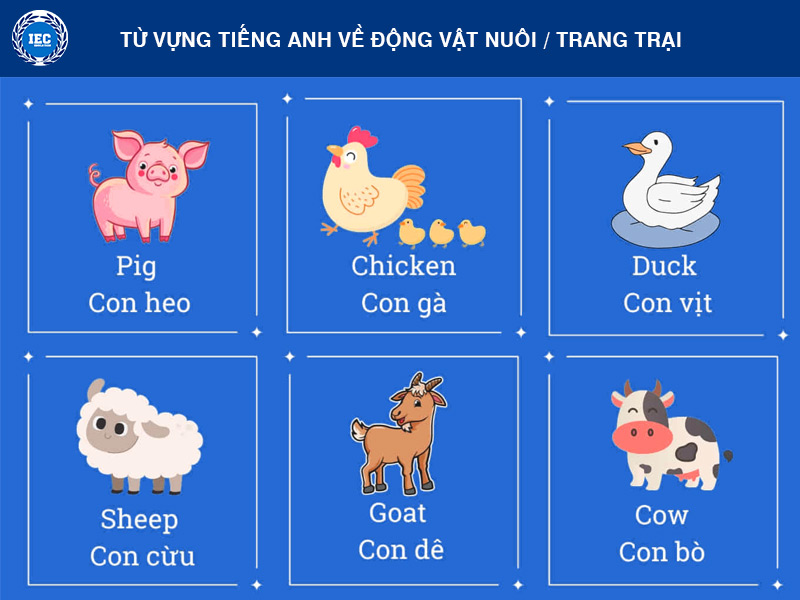 từ vựng tiếng anh về động vật nuôi trang trại