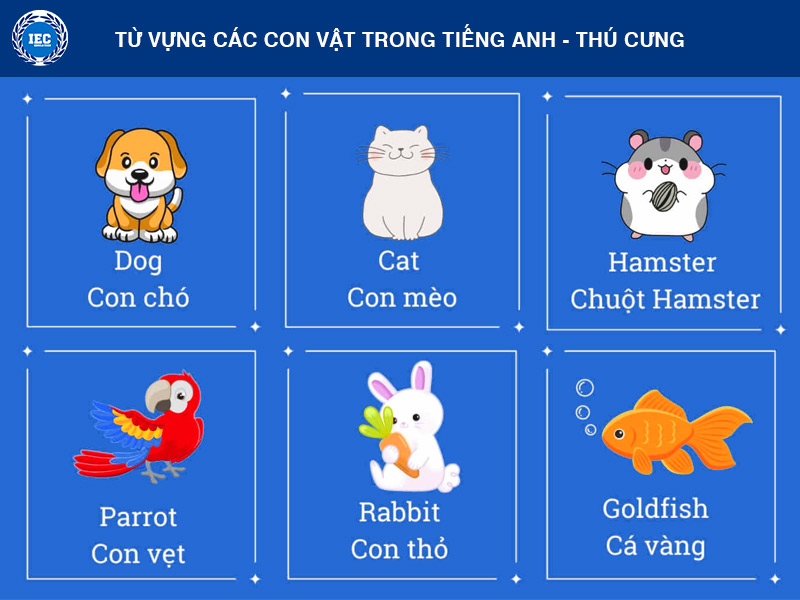 Từ Vựng Các Con Vật Bằng Tiếng Anh - Thú Cưng