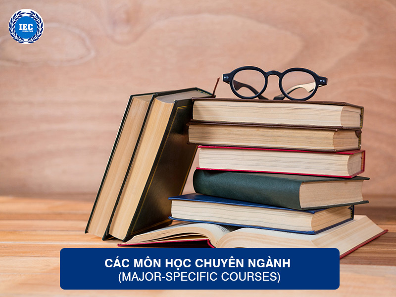 Các Môn Học Chuyên Ngành (Major-Specific Courses)
