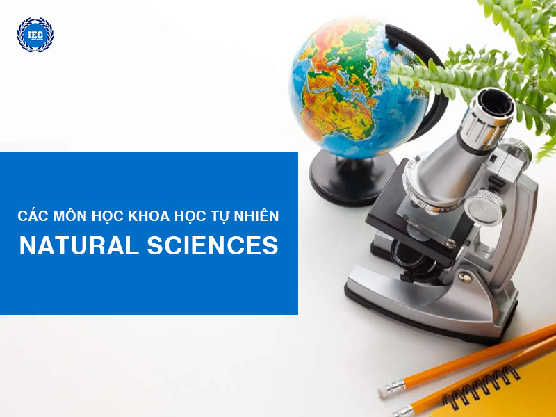 Các Môn Học Khoa Học Tự Nhiên (Natural Sciences)