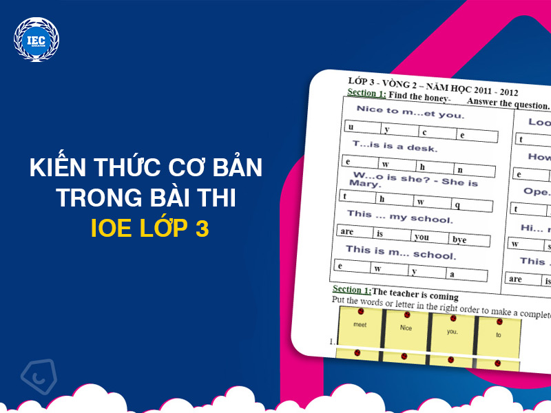 Kiến Thức Cơ Bản Trong Bài Thi IOE Lớp 3
