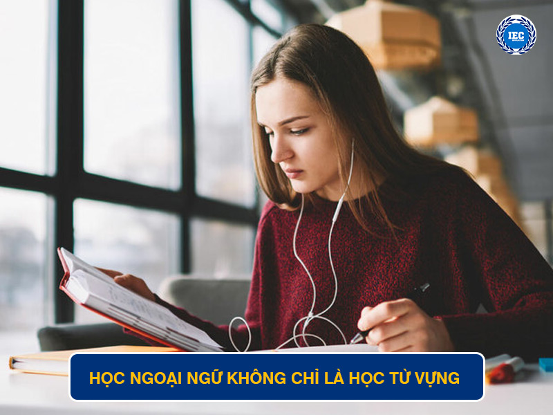 Học Ngoại Ngữ Không Chỉ Là Học Từ Vựng