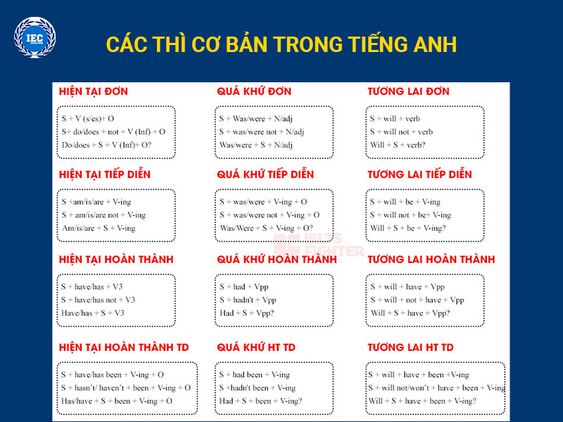 Hiểu rõ các thì cơ bản trong TOEIC là bước đầu tiên không thể bỏ qua
