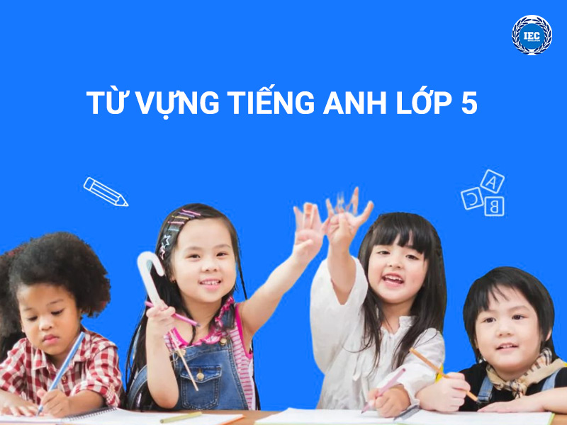 Từ Vựng Tiếng Anh Lớp 5: Danh Mục Chủ Đề, Phương Pháp Học, Bài Tập Thực Hành và Ứng Dụng Thành Công