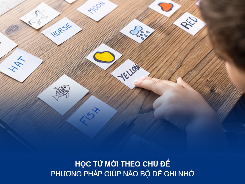 Học từ mới theo chủ đề – phương pháp giúp não bộ dễ ghi nhớ