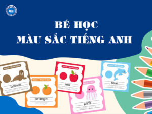 Bé Học Màu Sắc: Giai Đoạn Vàng Để Kích Thích Tư Duy Và Ngôn Ngữ