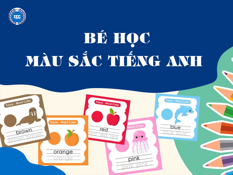 Bé Học Màu Sắc: Giai Đoạn Vàng Để Kích Thích Tư Duy Và Ngôn Ngữ