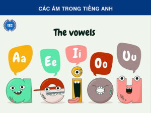 Các Âm Trong Tiếng Anh: Hiểu Đúng Ngay Từ Đầu Để Phát Âm Chuẩn Như Người Bản Xứ