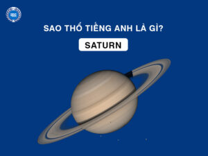 sao tho tieng anh la gi