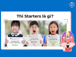 Thi Starters la gi