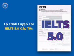 Luyện Thi IELTS 5.0 Cấp Tốc